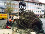 Aufstellung einer 15 Meter Tanne in Nürnberg City Aufstellung einer 15 Meter Tanne in Nürnberg City